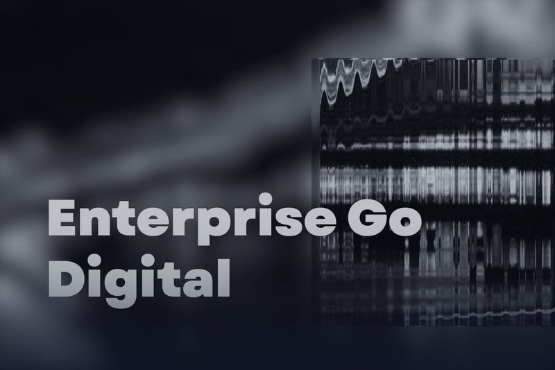 Digital Asset Solutions company - Enterprise Go Digital - Launches with Cutting-Edge Blockchain and AI Solutions, and Emerging Technology Consulting Services