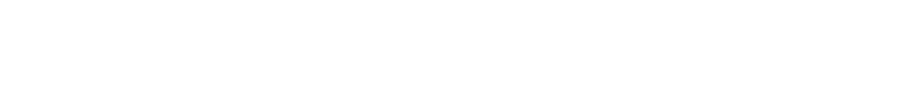 BNS logo