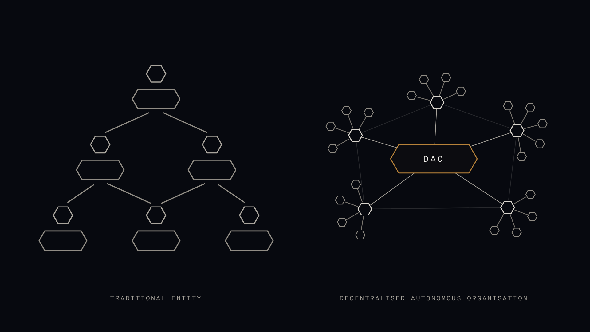 Traditional vs DAO